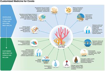 Customized Medicine for Corals